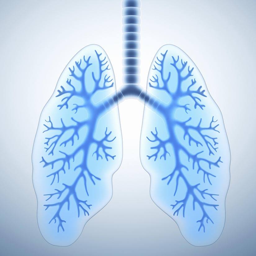 Image médicale des poumons – MedicalAir