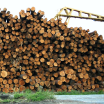 Cooperative-de-Location-de-Machinerie-Lourde-Image-Carroussel_02