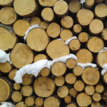 Cooperative-de-Location-de-Machinerie-Lourde-Image-Carroussel_05