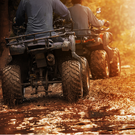 Image VTT de promenade pour carroussel Sport Gilbert 2.0