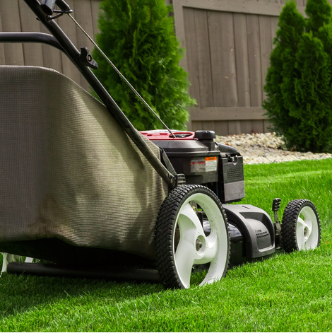 Image tondeuse pour vente d'équipements Sport Gilbert 2.0