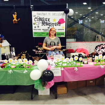 Boutique-de-Toilettage-les-Fees-Magiques-Realisation-Salon-Exotique