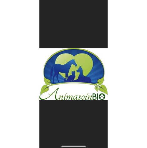 Boutique-de-Toilettage-les-Fees-Magiques-Service-Espace-Boutique