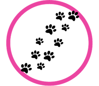 Boutique-de-Toilettage-les-Fees-Magiques-Service-Icone-Historique