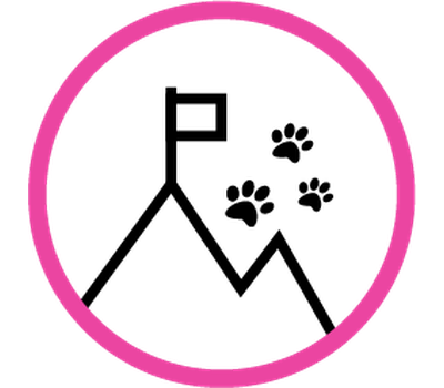 Boutique-de-Toilettage-les-Fees-Magiques-Service-Icone-valeurs-et-Mission