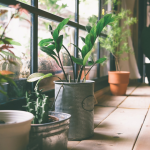 Photo Grenon Paysagement & Jardinerie - Carroussel
