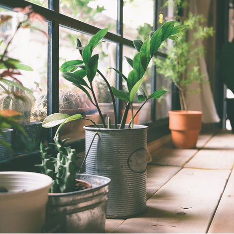 Photo Grenon Paysagement & Jardinerie - Carroussel