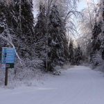 Image d'un sentier de ski de fond au Club Tobo Ski Saint-Félicien