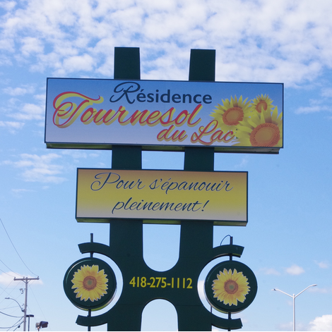 Photo Résidence Tournesol du Lac- carrousel